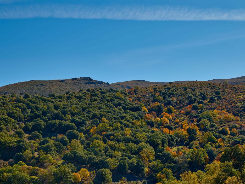 Autunno in montagna