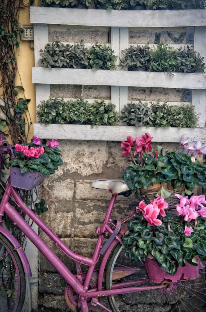 Bicicletta d'epoca con fiori