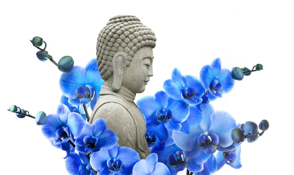 Buddha e orchidea