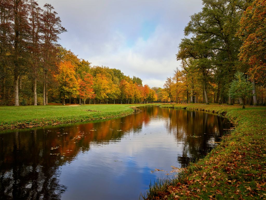 Foresta in autunno