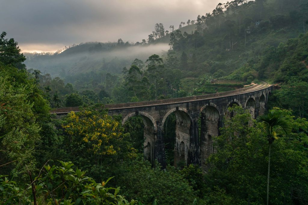 Ponte ferroviario attraverso la giungla