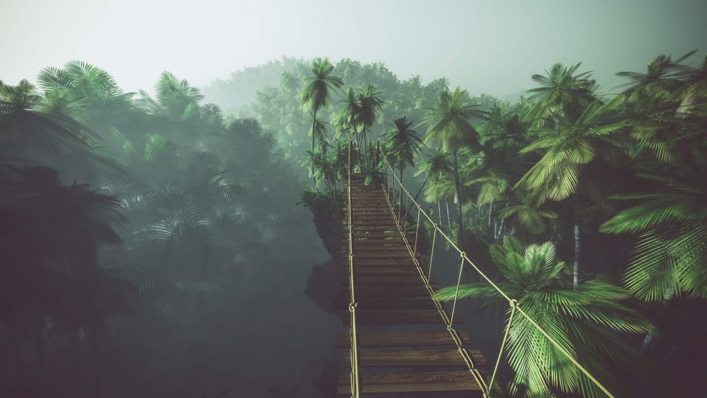 Ponte di corda nella nebbia