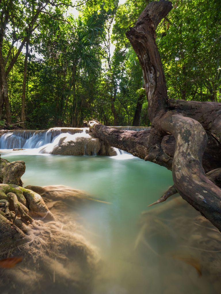 Cascata nella giungla