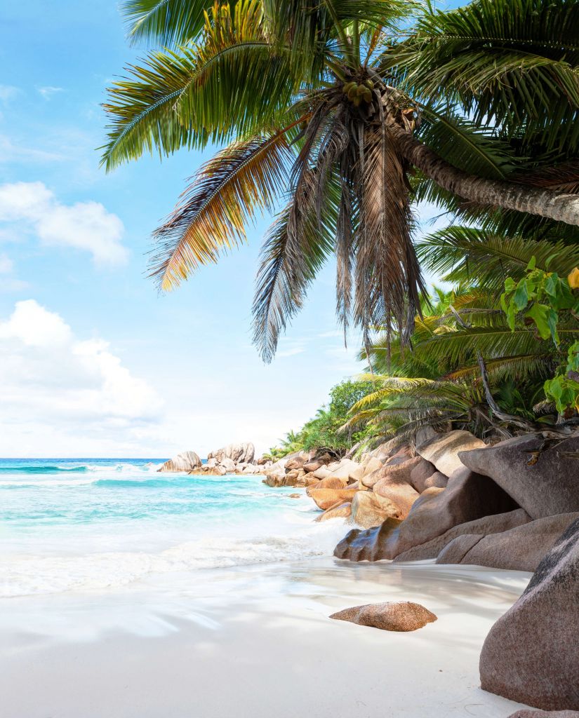 Bella spiaggia di sabbia tropicale