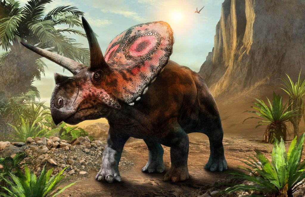 Torosaurus nella foresta