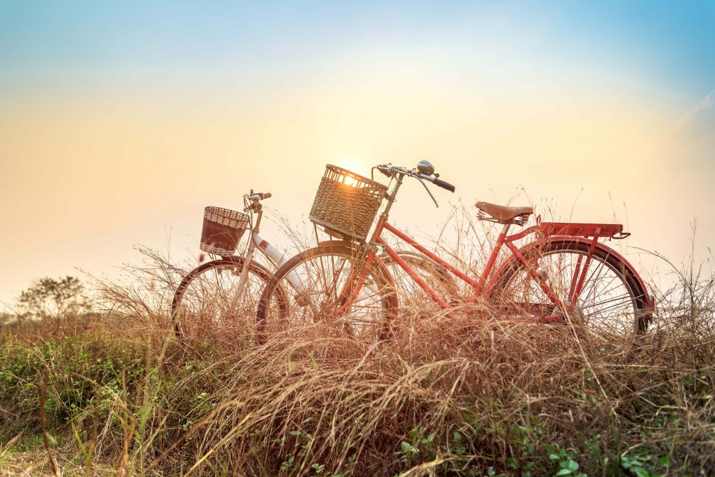 Biciclette d'epoca