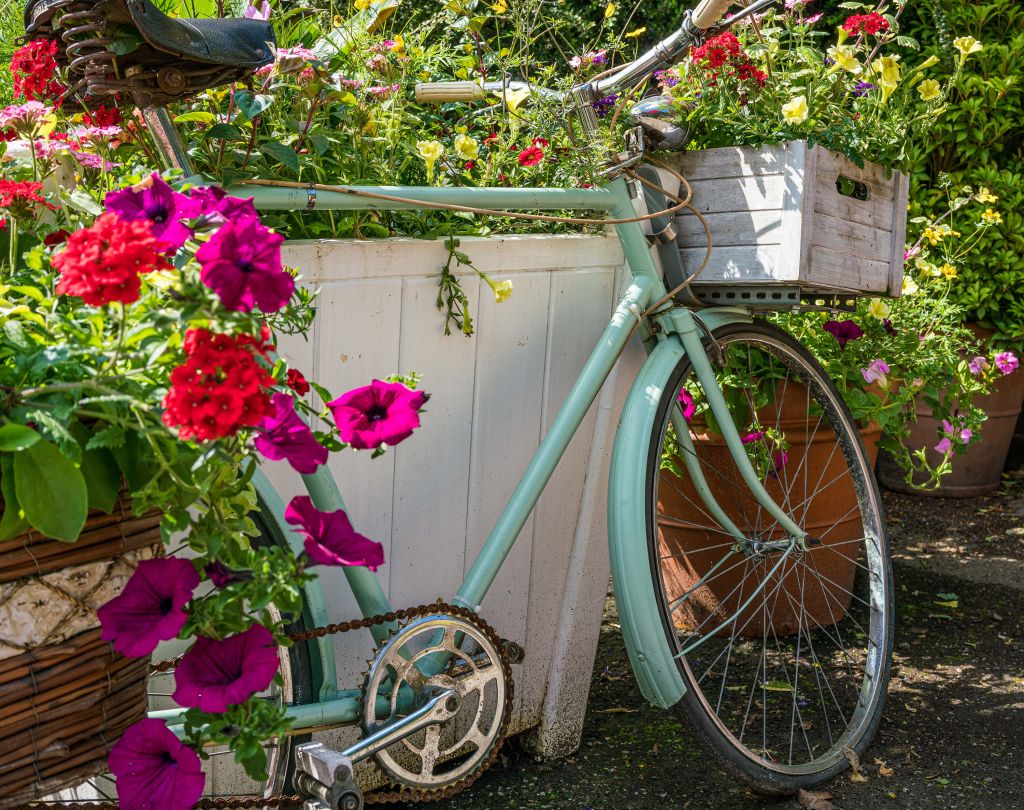 Vecchia bicicletta con fiori