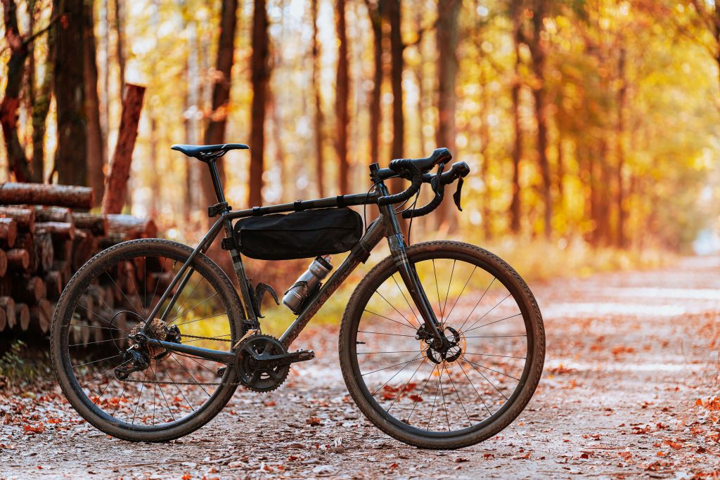 Bicicletta in autunno