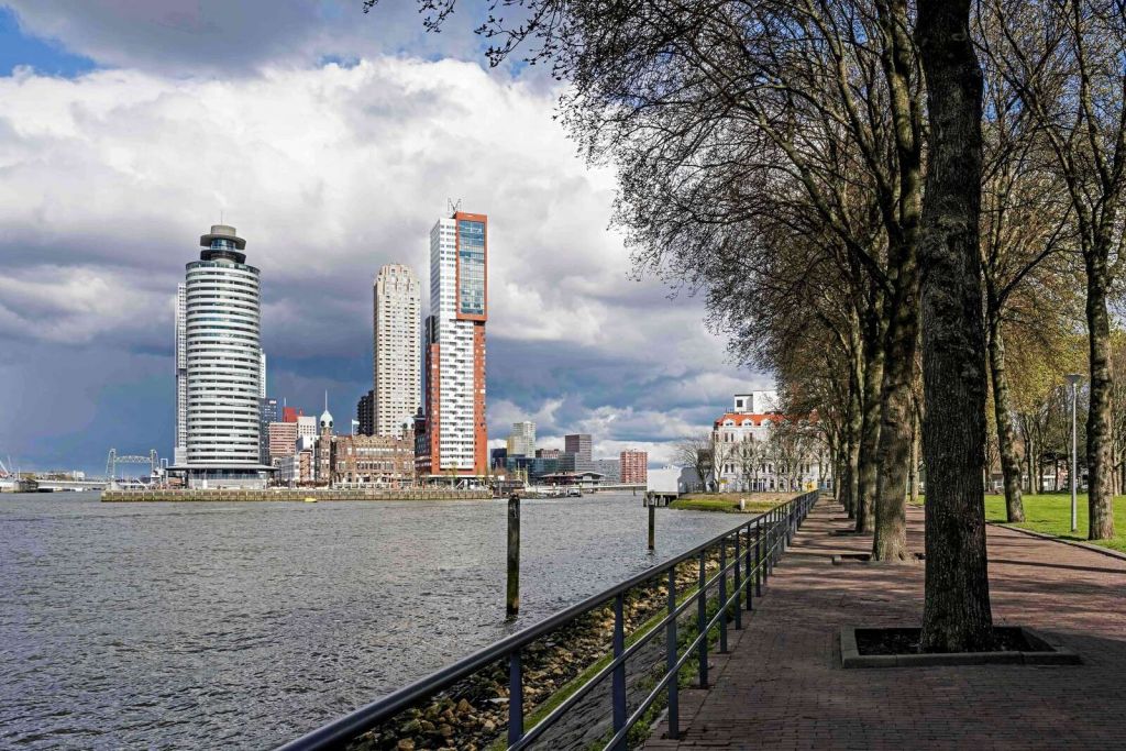 Skyline di Rotterdam dalla banchina