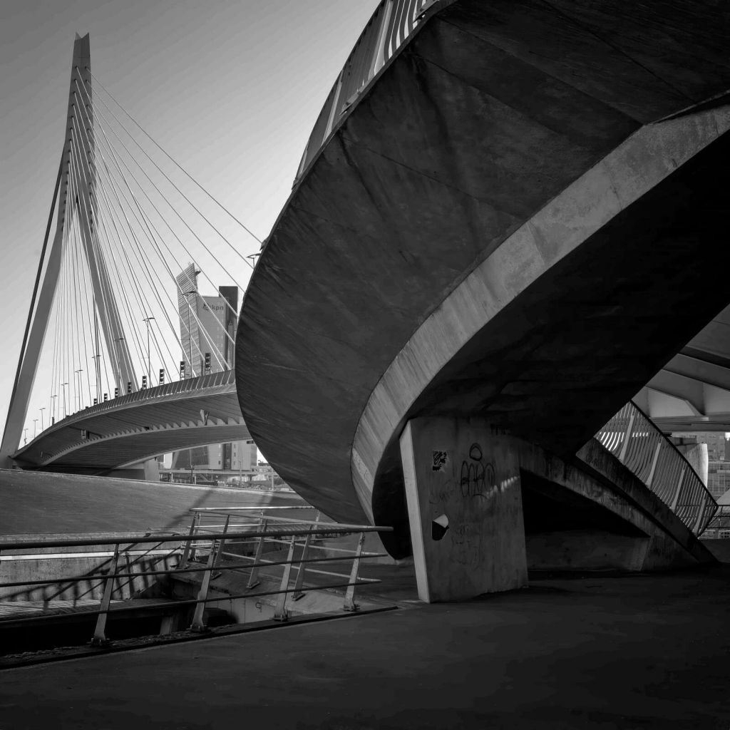 Erasmusbrug e Architettura Urbana