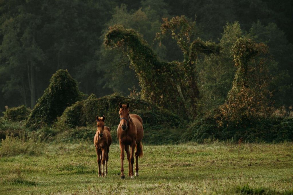 Cavalli in un Paesaggio Mistico