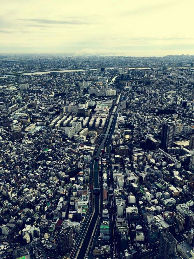 Metropoli dall'alto