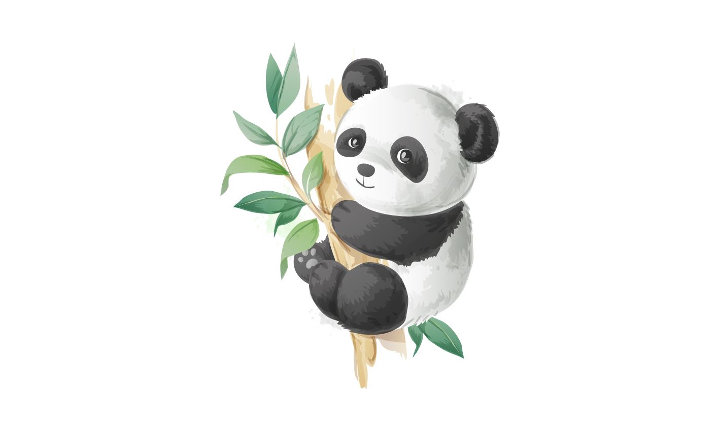 Carino panda